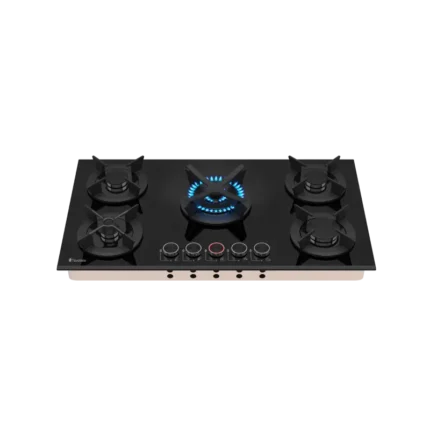 اجاق گاز داتیس مدل dg-565 رو میزی